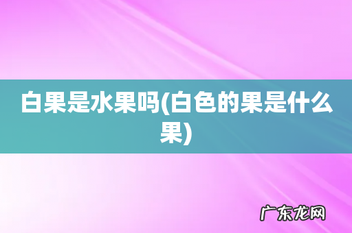 白色的果是什么果 白果是水果吗