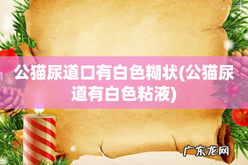 公猫尿道有白色粘液 公猫尿道口有白色糊状