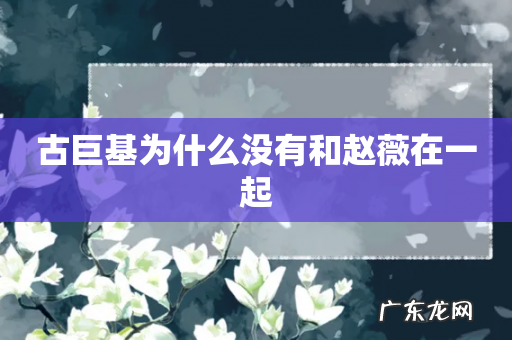 古巨基为什么没有和赵薇在一起