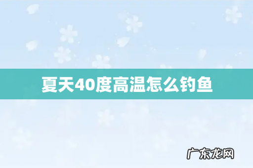 夏天40度高温怎么钓鱼