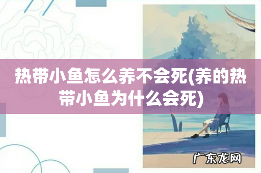 养的热带小鱼为什么会死 热带小鱼怎么养不会死