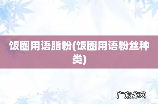 饭圈用语粉丝种类 饭圈用语脂粉