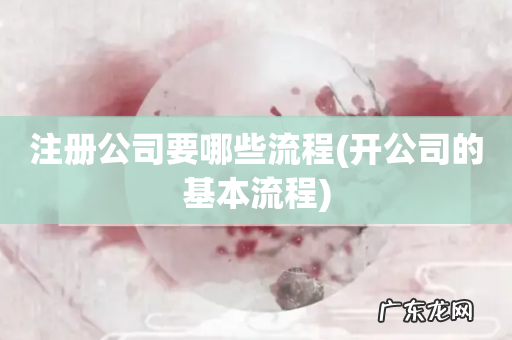 开公司的基本流程 注册公司要哪些流程