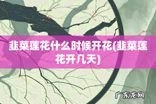 韭菜莲花开几天 韭菜莲花什么时候开花