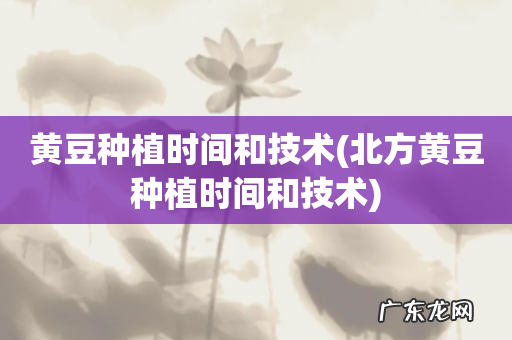 北方黄豆种植时间和技术 黄豆种植时间和技术