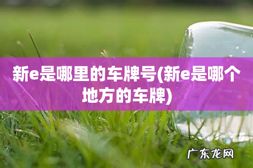 新e是哪个地方的车牌 新e是哪里的车牌号