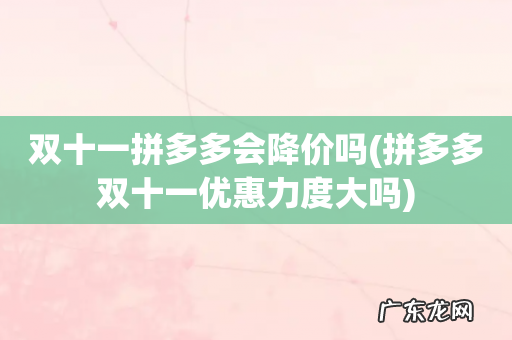 拼多多双十一优惠力度大吗 双十一拼多多会降价吗