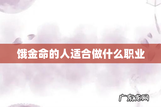 饿金命的人适合做什么职业