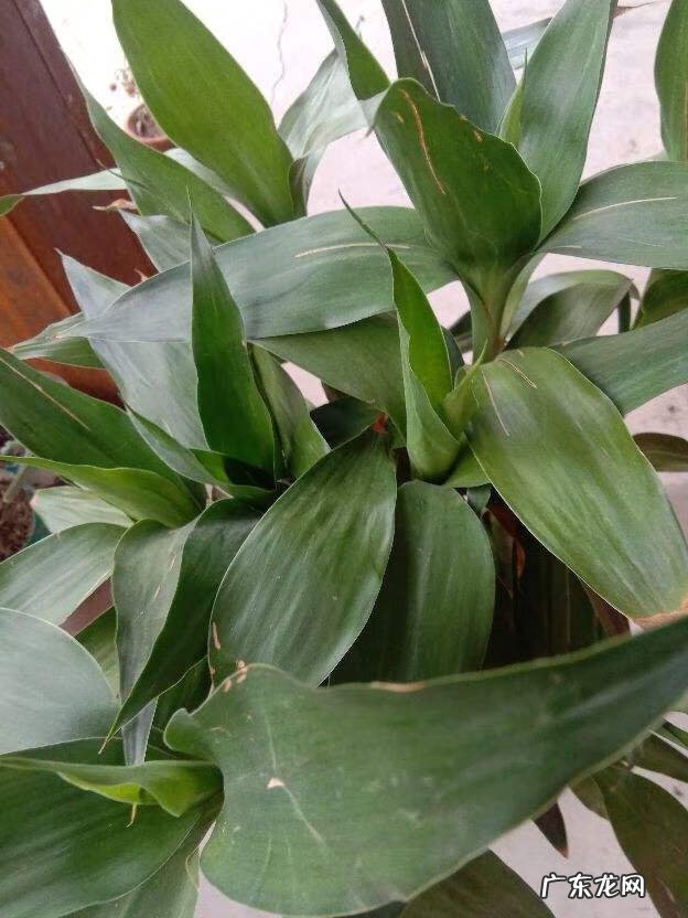 铺面的外墙贴瓷砖风水 客厅四面墙的风水