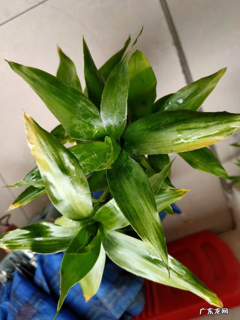 铺面的外墙贴瓷砖风水 客厅四面墙的风水