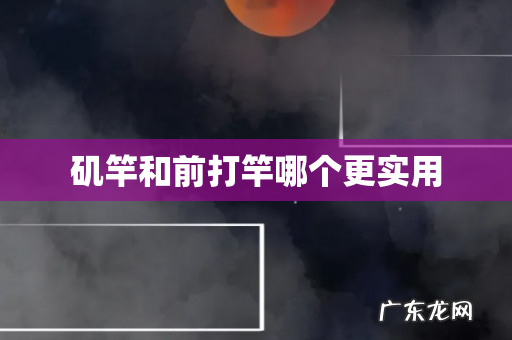 矶竿和前打竿哪个更实用