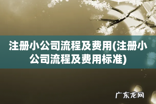 注册小公司流程及费用标准 注册小公司流程及费用