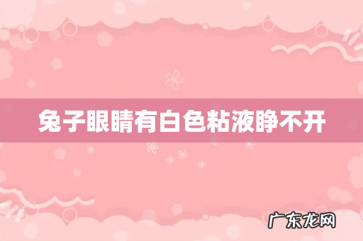 兔子眼睛有白色粘液睁不开