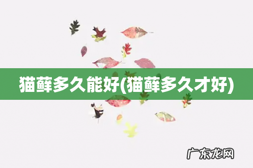 猫藓多久才好 猫藓多久能好