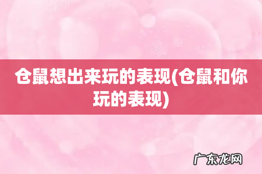 仓鼠和你玩的表现 仓鼠想出来玩的表现