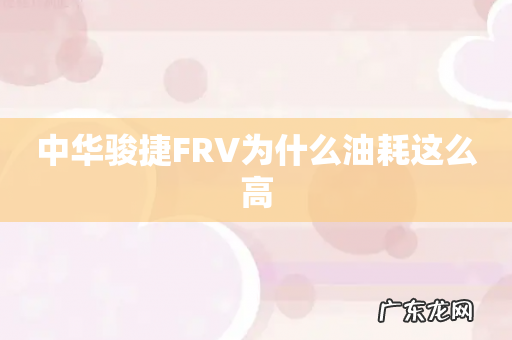 中华骏捷FRV为什么油耗这么高