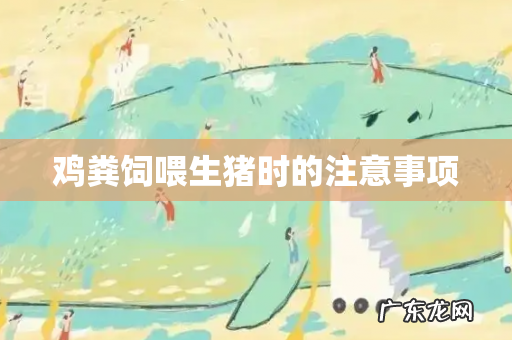 鸡粪饲喂生猪时的注意事项