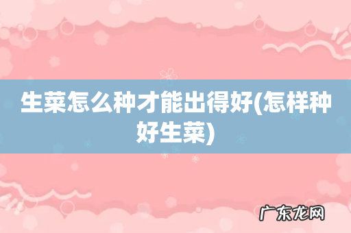 怎样种好生菜 生菜怎么种才能出得好