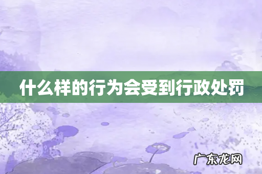 什么样的行为会受到行政处罚