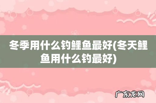 冬天鲤鱼用什么钓最好 冬季用什么钓鲤鱼最好
