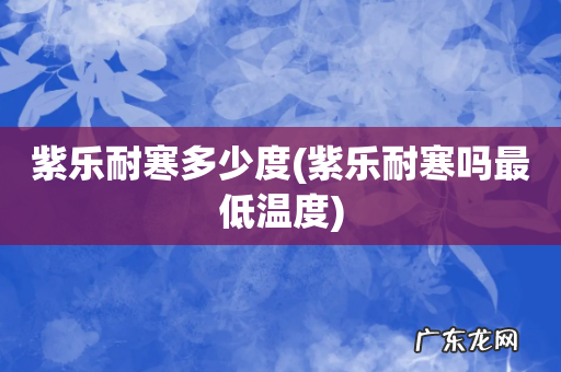 紫乐耐寒吗最低温度 紫乐耐寒多少度