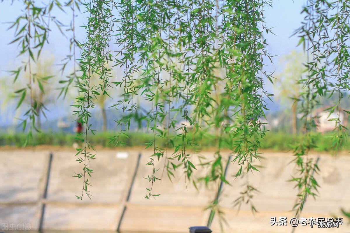 门前有鱼塘风水好不好 门前有池塘风水好不好