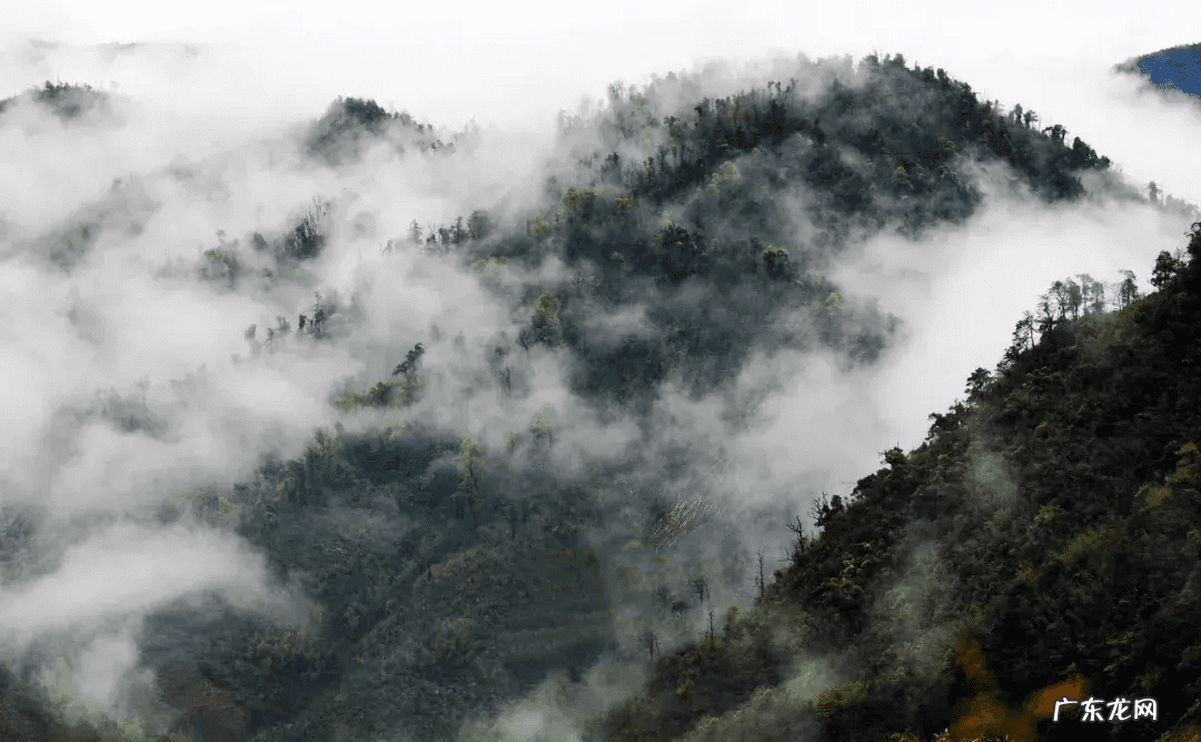 中国风水最好的地方在哪里 寨子风水大师