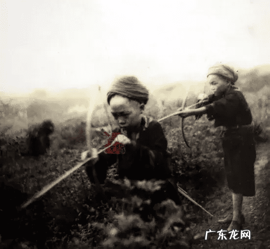 中国风水最好的地方在哪里 寨子风水大师