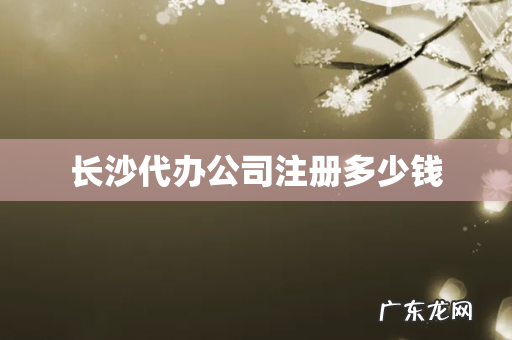 长沙代办公司注册多少钱