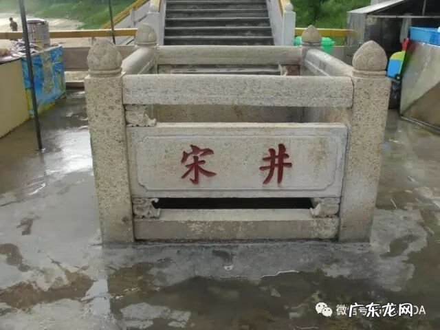 蛇在风水里有什么说法 蛇地风水出什么样的人