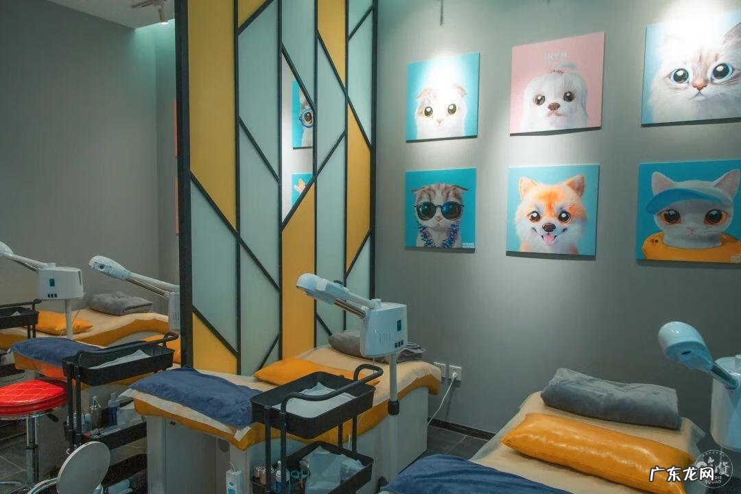 学洗脸手法 洗脸吧