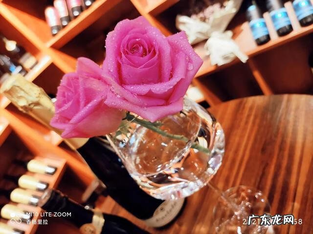 为什么叫来自星星的孩子 追逐星星的孩子完整版