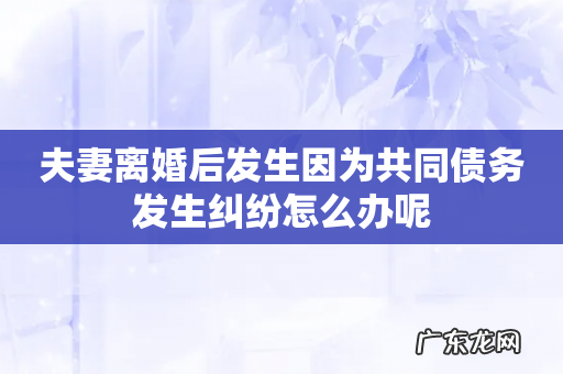 夫妻离婚后发生因为共同债务发生纠纷怎么办呢
