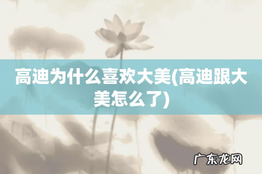 高迪跟大美怎么了 高迪为什么喜欢大美