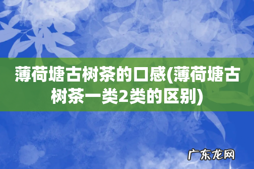 薄荷塘古树茶一类2类的区别 薄荷塘古树茶的口感