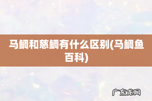 马鲷鱼百科 马鲷和慈鲷有什么区别