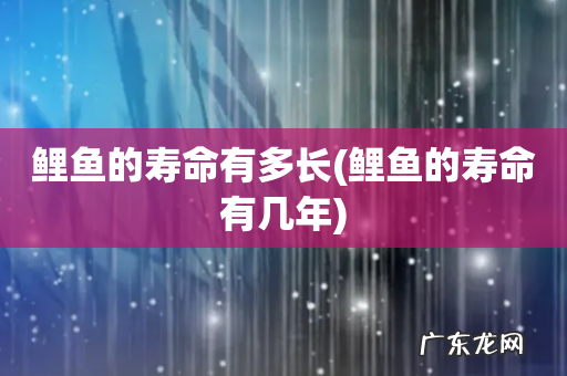 鲤鱼的寿命有几年 鲤鱼的寿命有多长