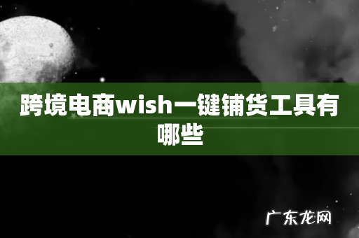 跨境电商wish一键铺货工具有哪些
