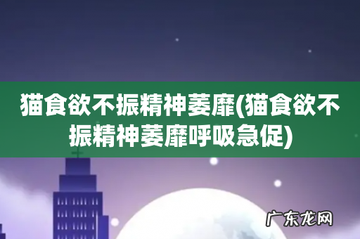猫食欲不振精神萎靡呼吸急促 猫食欲不振精神萎靡