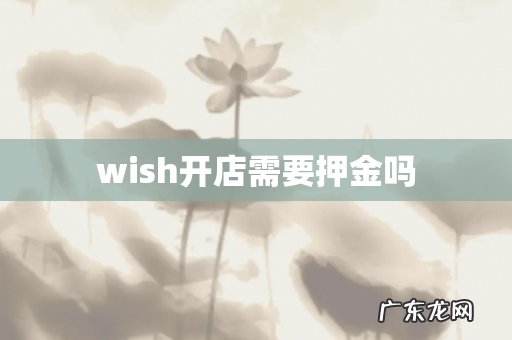 wish开店需要押金吗