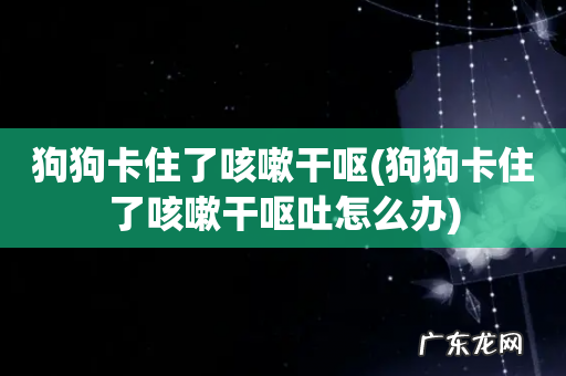 狗狗卡住了咳嗽干呕吐怎么办 狗狗卡住了咳嗽干呕