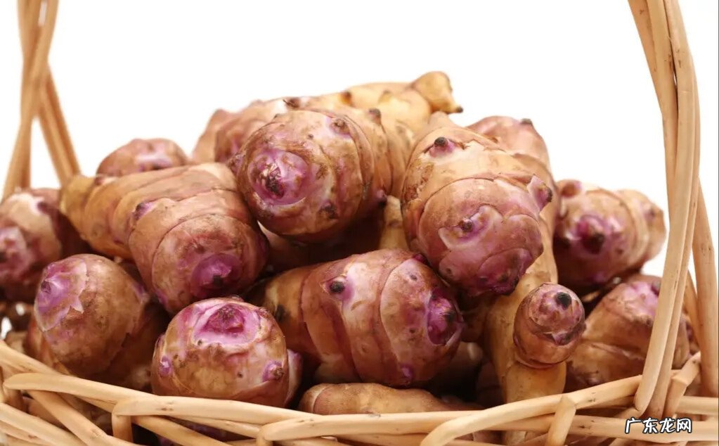 洋姜的功效与作用禁忌 洋姜的功效与作用