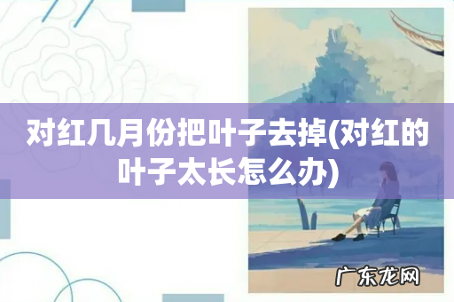 对红的叶子太长怎么办 对红几月份把叶子去掉