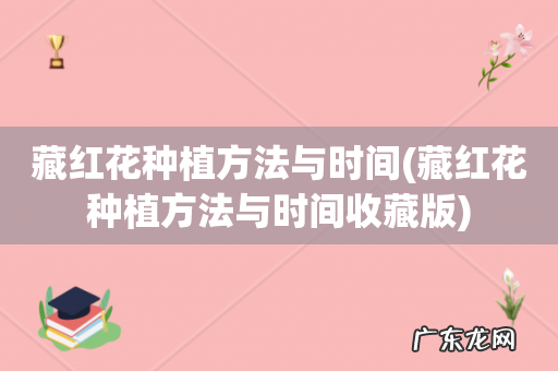 藏红花种植方法与时间收藏版 藏红花种植方法与时间