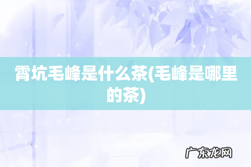 毛峰是哪里的茶 霄坑毛峰是什么茶