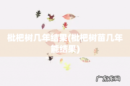 枇杷树苗几年能结果 枇杷树几年结果