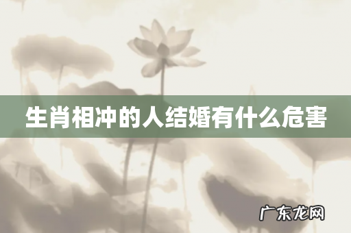 生肖相冲的人结婚有什么危害