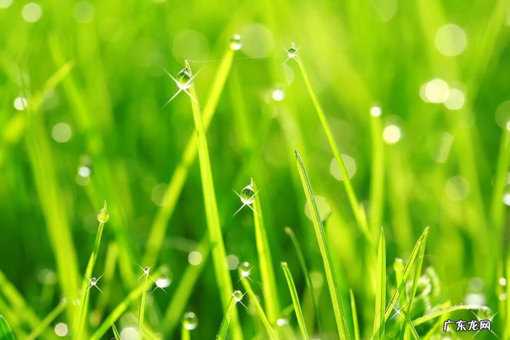 雪色黎明 九月的黎明