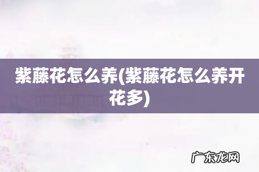 紫藤花怎么养开花多 紫藤花怎么养