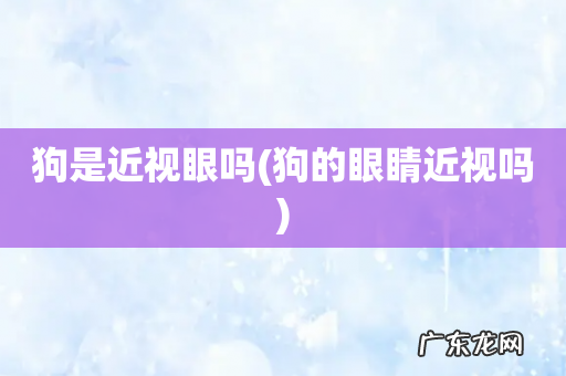狗的眼睛近视吗 狗是近视眼吗